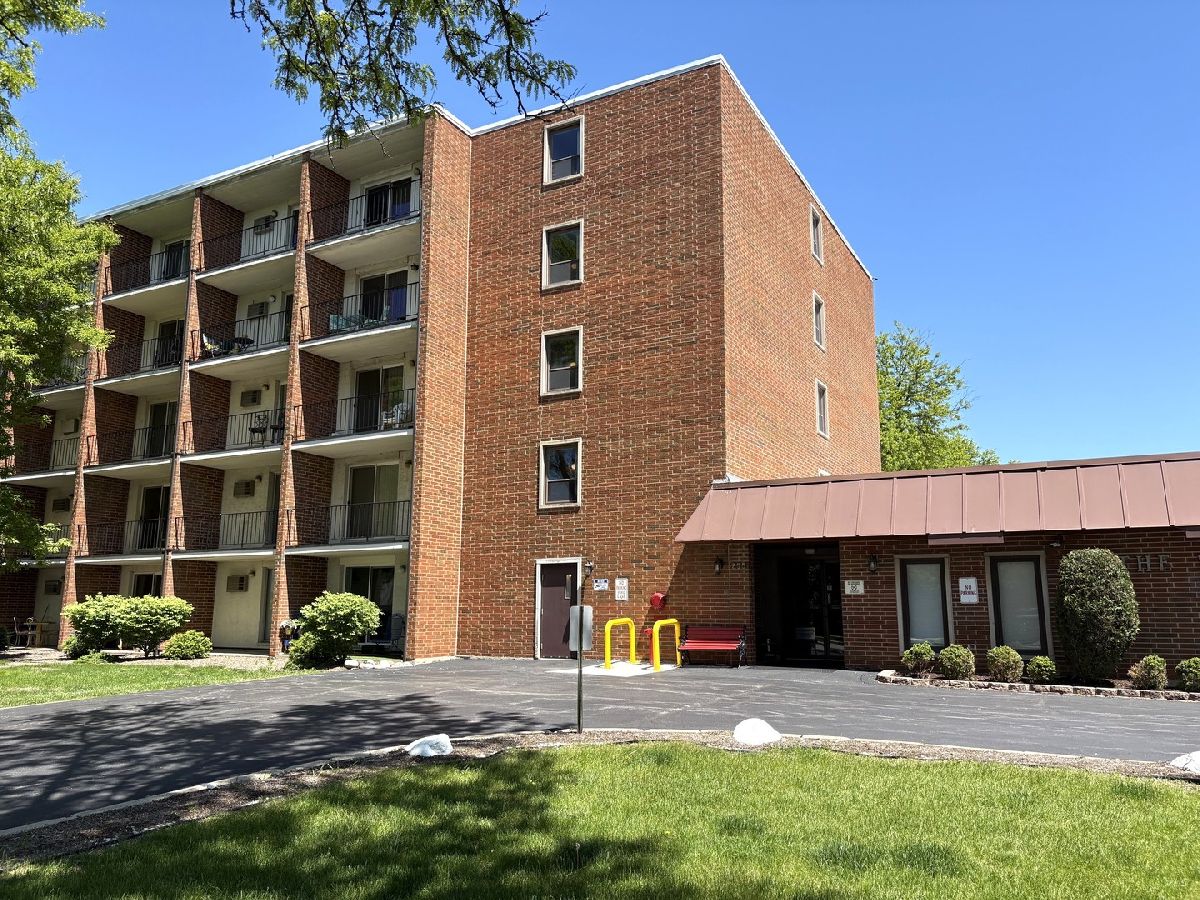 Condominiums For Sale The Willows Elmhurst Illinois, 255 West Avenue