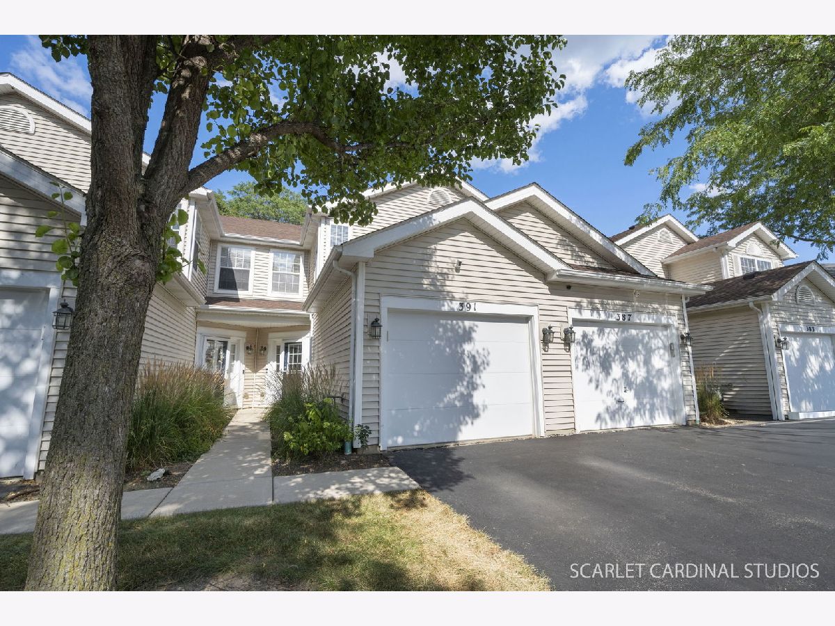  For Sale Schaumburg Illinois, 391 Hunterdon Court
