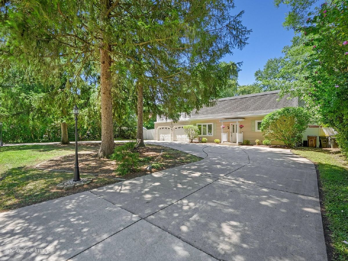  Sold Wood Dale Illinois, 166 Forest View