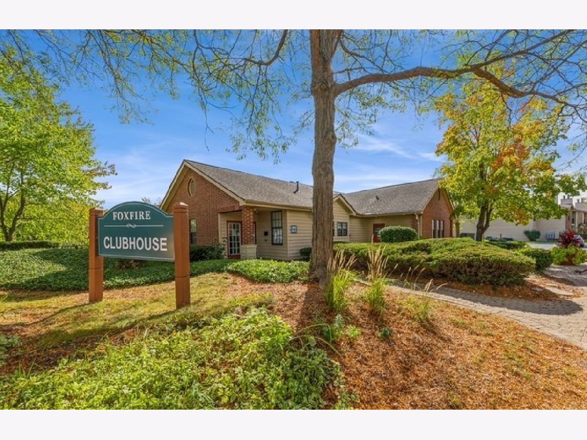  For Rent Palatine Illinois, 2024 Rand