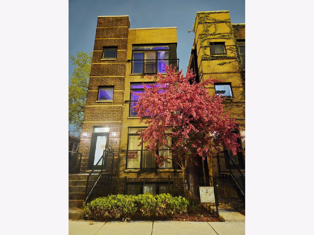 Condos & Townhomes & Homes Rented Pilsen Chicago Illinois