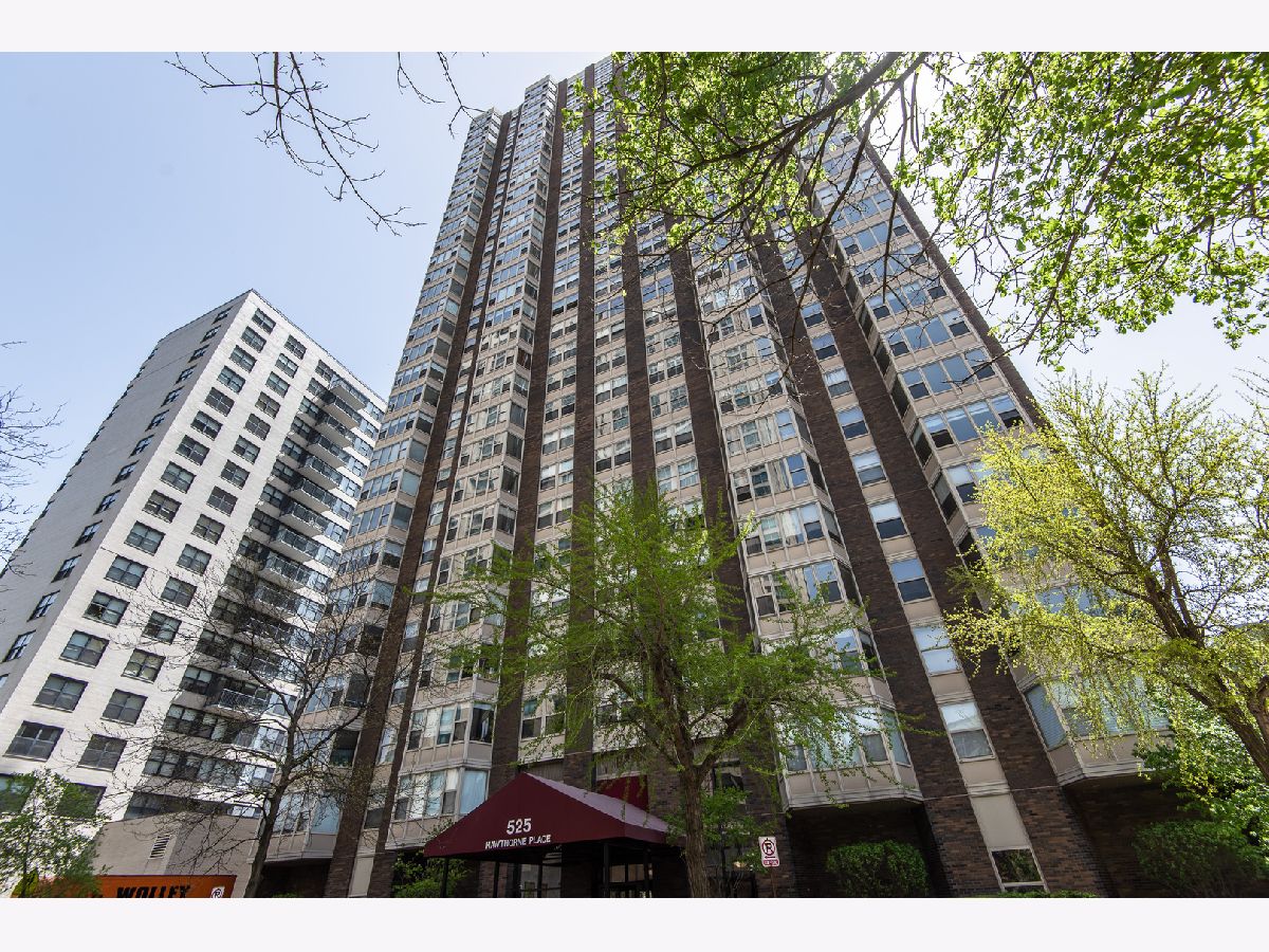 Condos & Townhomes & Homes Rented Hawthorne Place Chicago Illinois, 525 Hawthorne