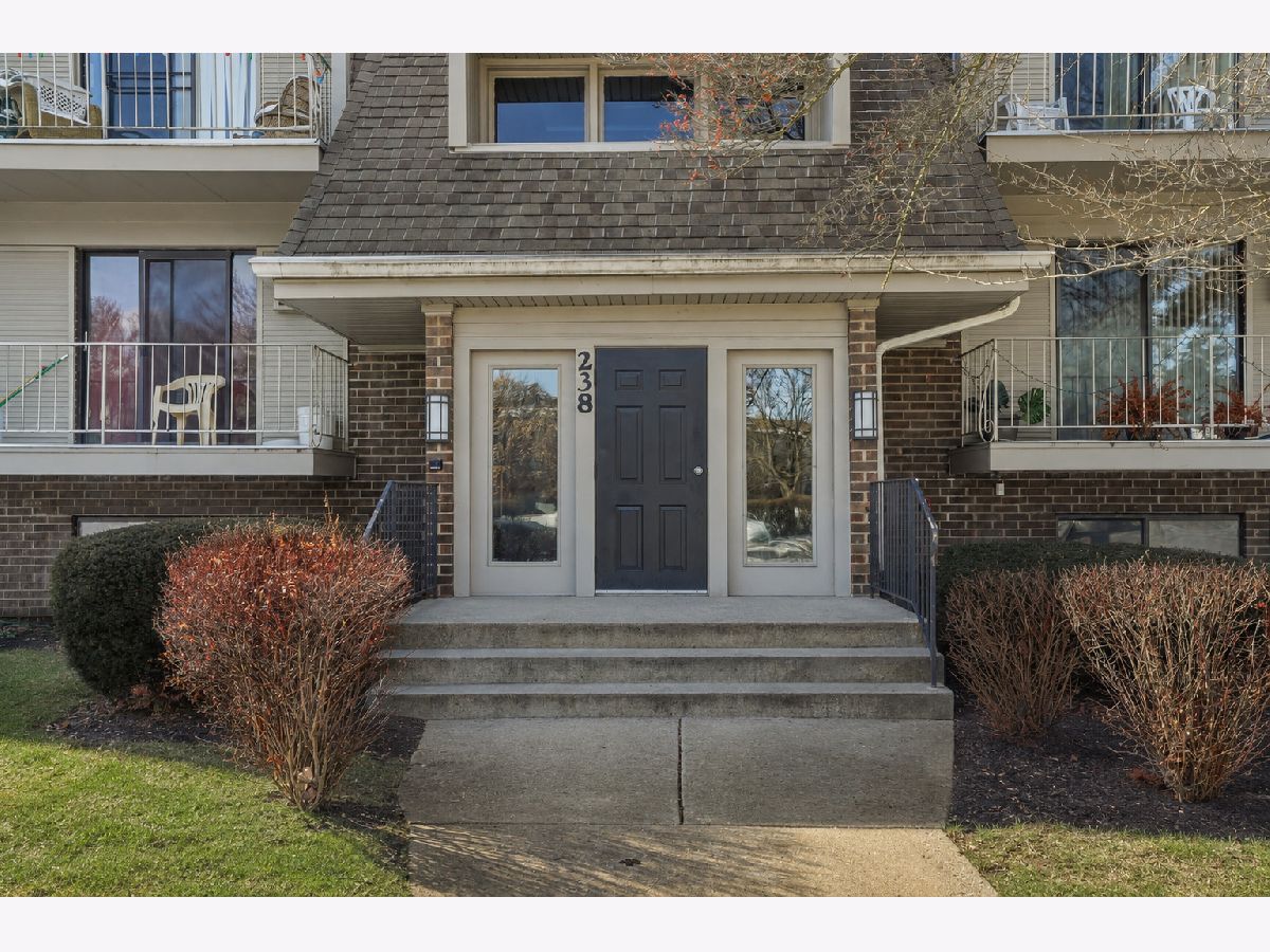  Rented Naperville Illinois, 238 Bailey