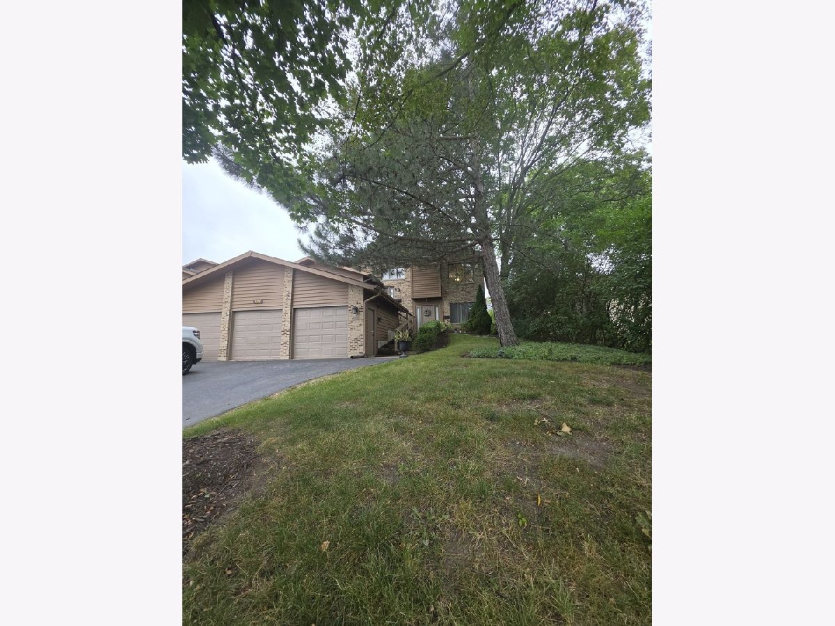  For Rent St Charles Illinois, 423 3rd