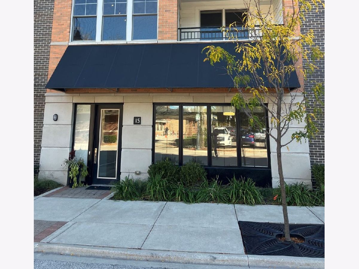  For Rent Clarendon Hills Illinois, 229 Park