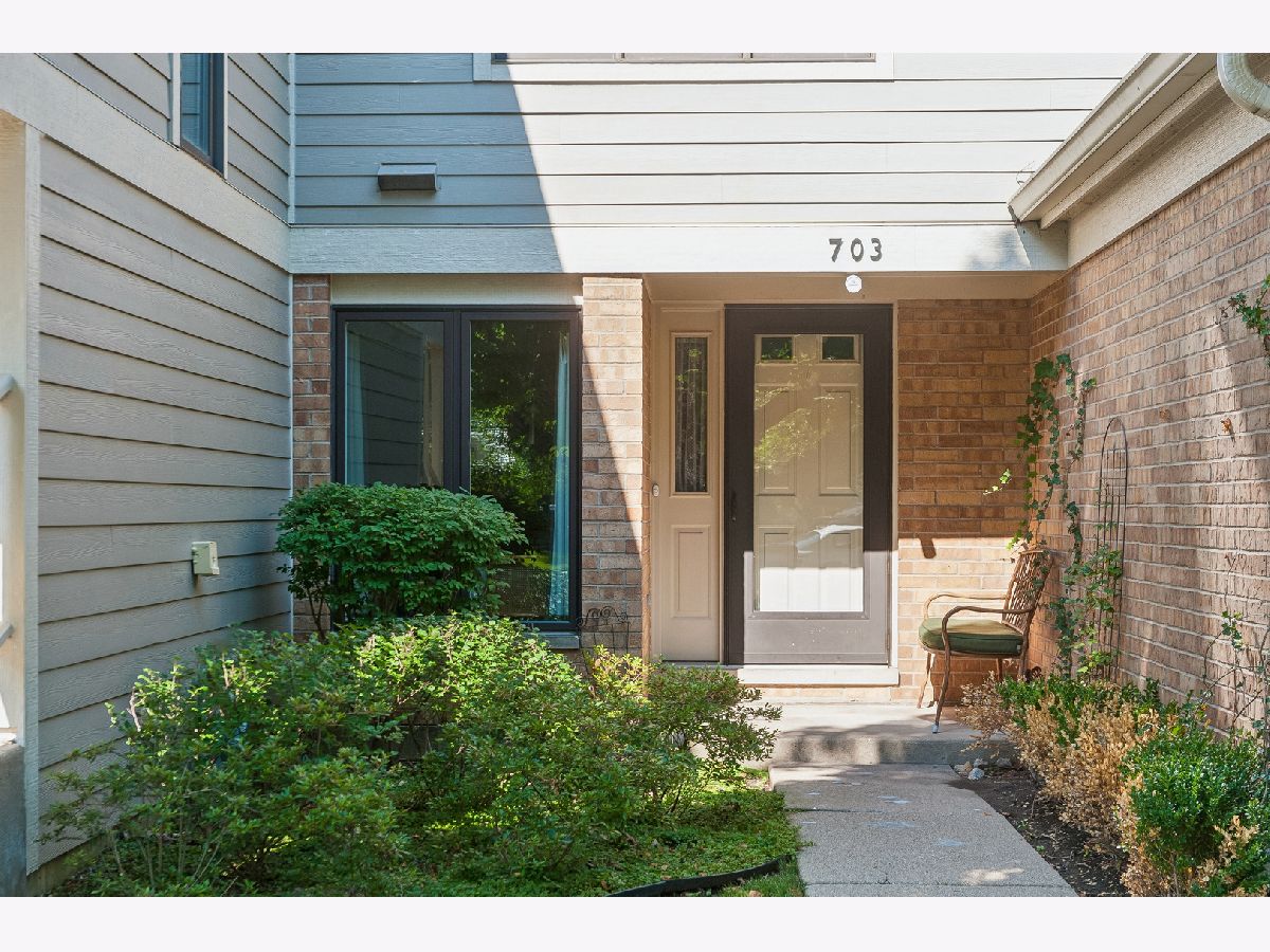  Sold Libertyville Illinois, 703 Caliente