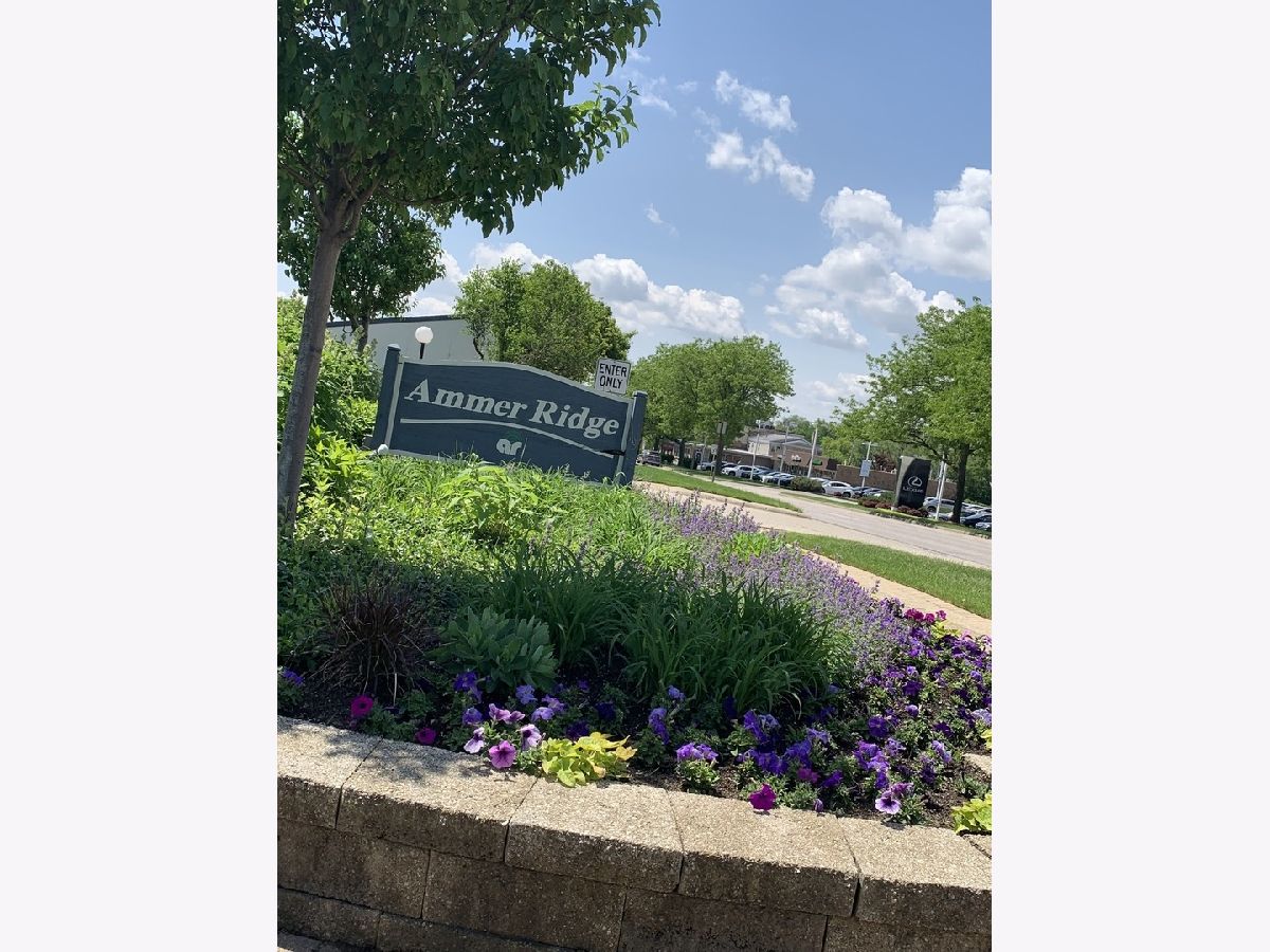  For Rent Glenview Illinois, 1963 Ammer Ridge