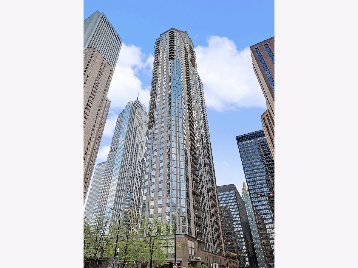 Condominiums For Sale Park Millennium Condos Chicago Illinois, 222 Columbus Drive