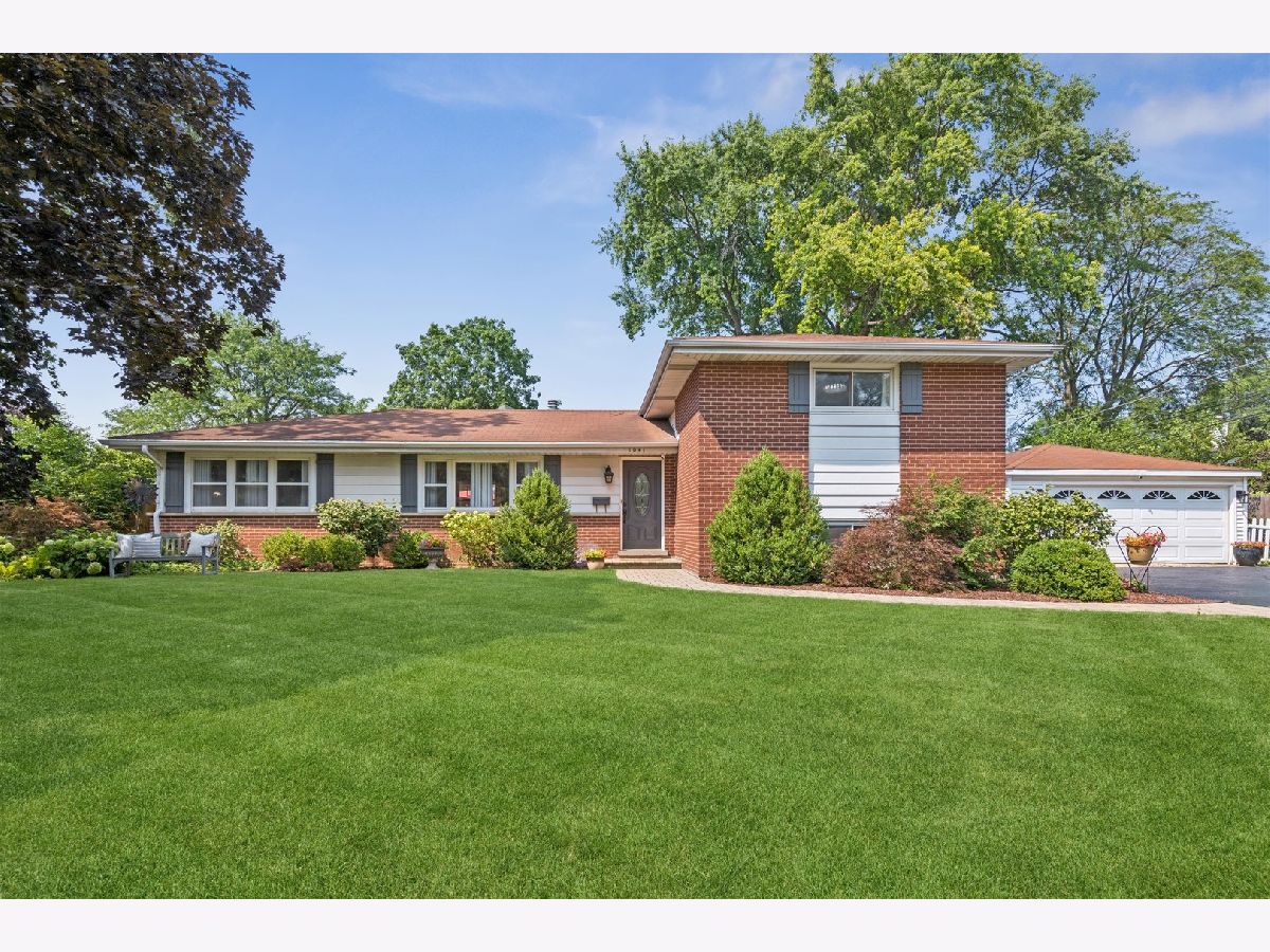 Homes For Sale Flick Park Glenview Illinois, 1041 Longmeadow Drive