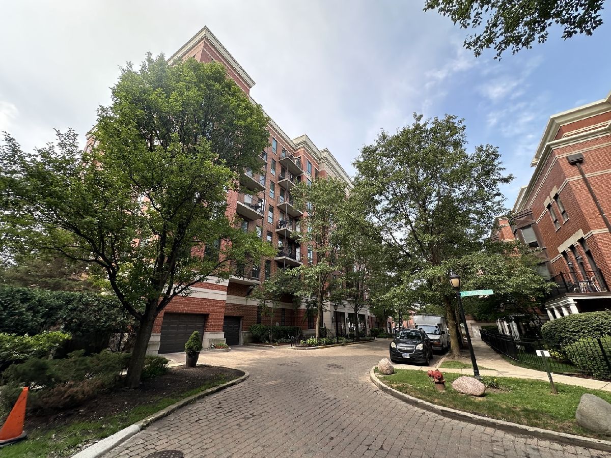  Rented Chicago Illinois, 343 Old Town