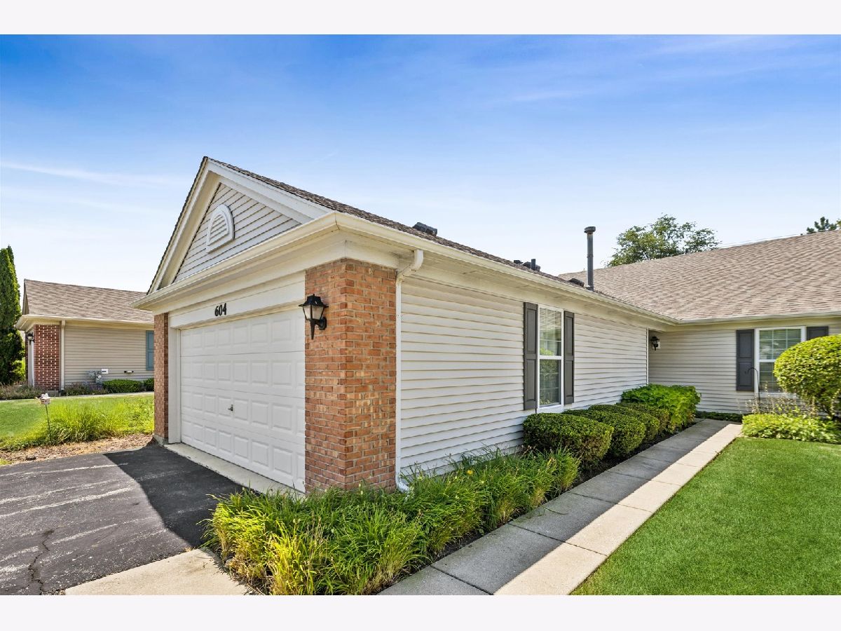 Townhomes & Homes For Sale Bradford Place Round Lake Illinois, 604 Curran Road