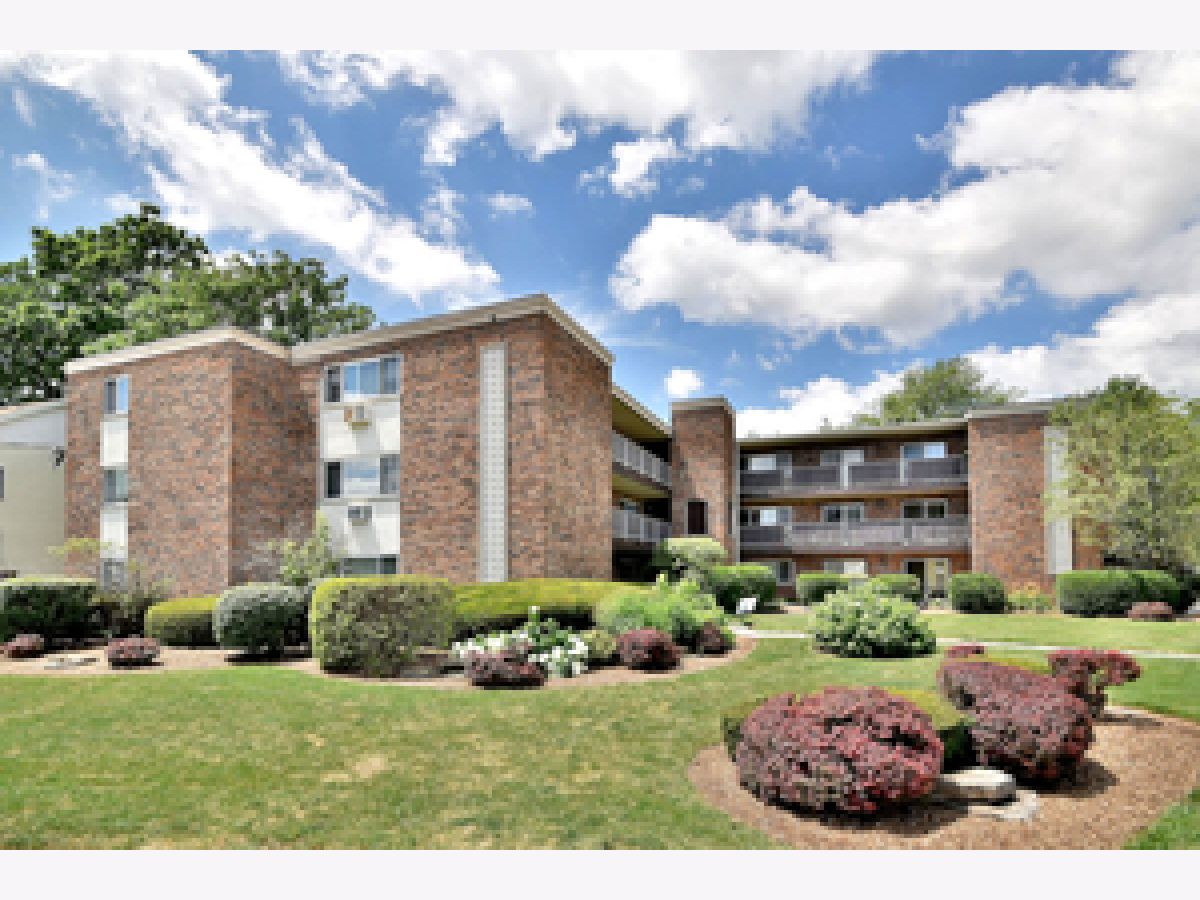  For Rent Elmhurst Illinois, 600 York