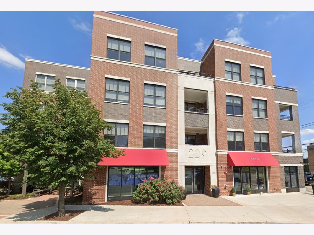  For Rent Clarendon Hills Illinois, 229 Park