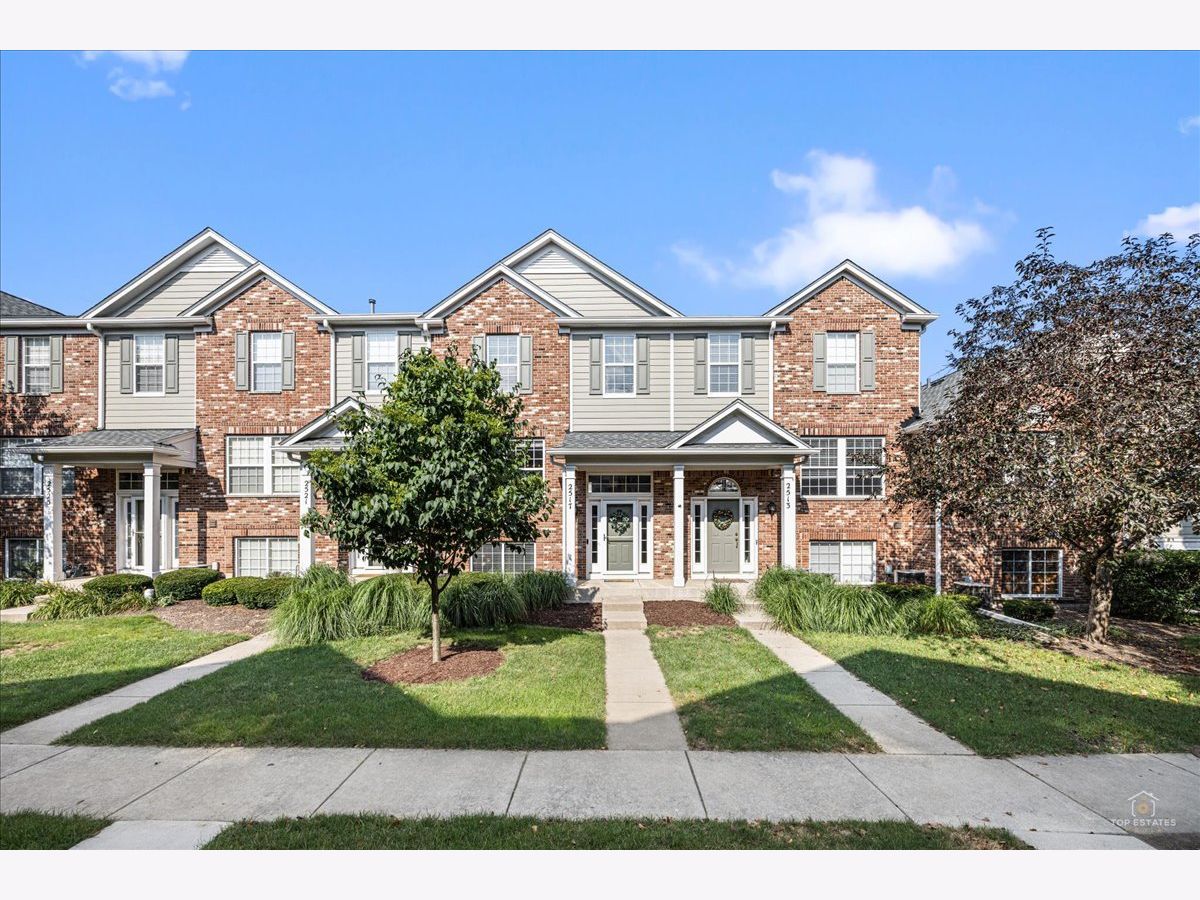 Townhomes For Sale The Reserve Of Elgin Elgin Illinois, 2517 Emily Lane