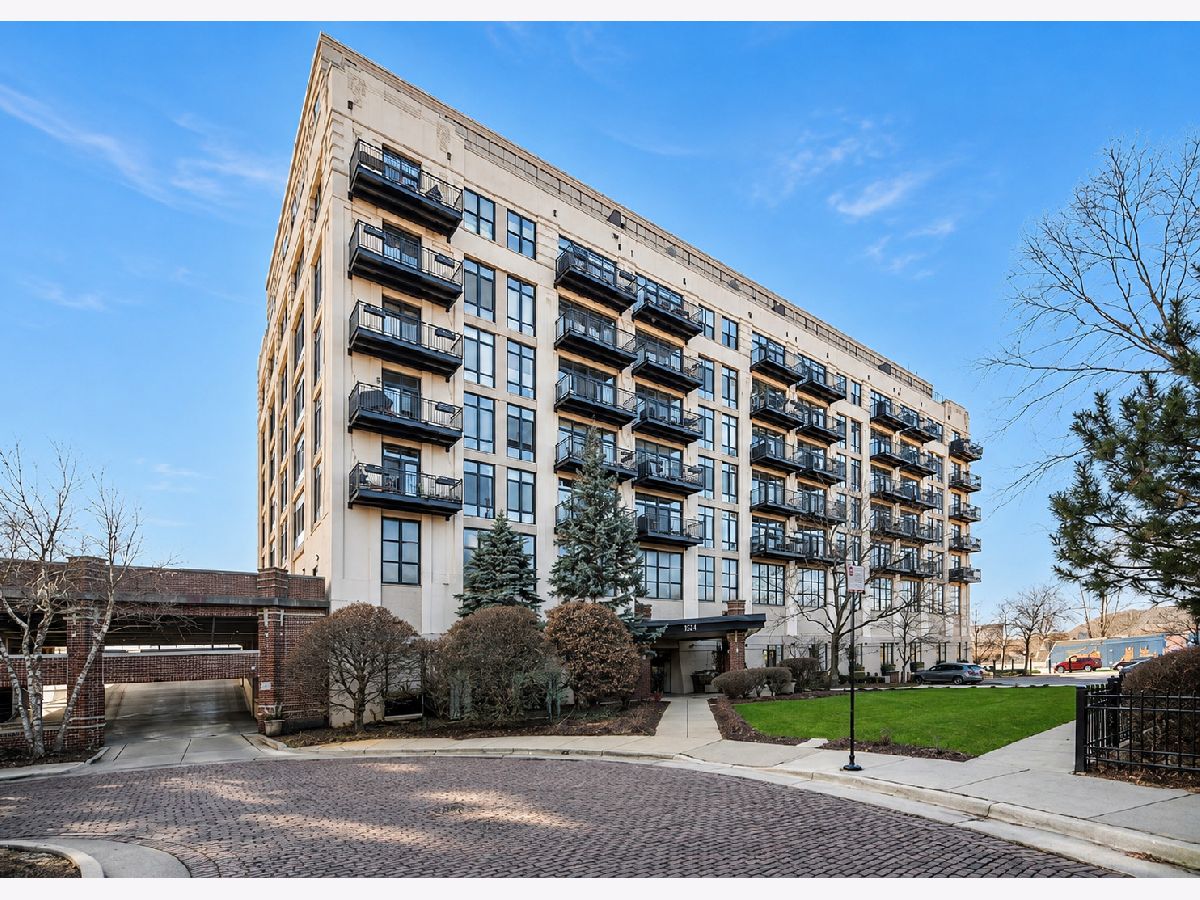  For Sale Chicago Illinois, 1524 Sangamon Street