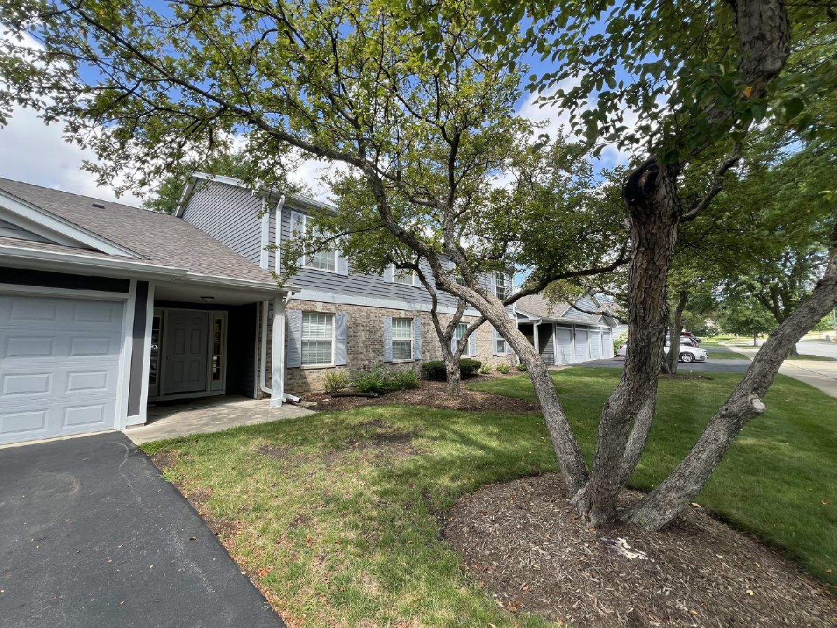 Rented Elgin Illinois, 358 Woodview