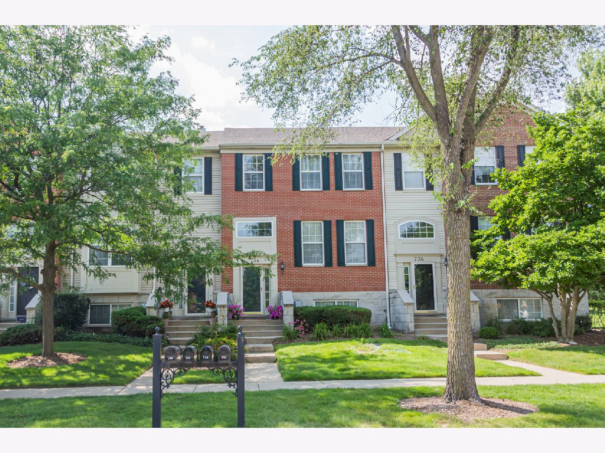 Townhomes & Homes For Sale Castle Creek Bartlett Illinois, 734 Thornbury Road