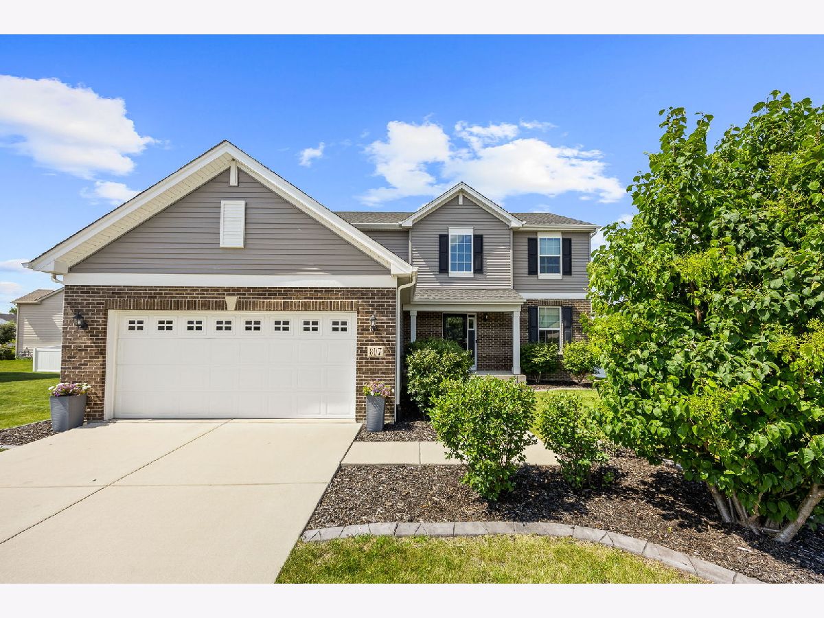  For Sale Minooka Illinois, 807 High Grove Drive