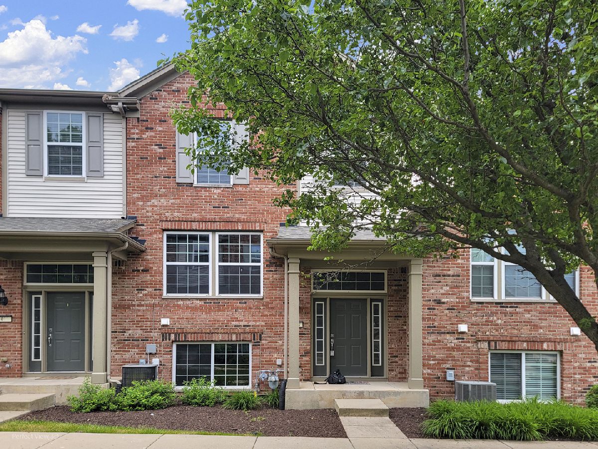 Townhomes & Homes For Rent Prescott Mill Oswego Illinois, 464 Valentine