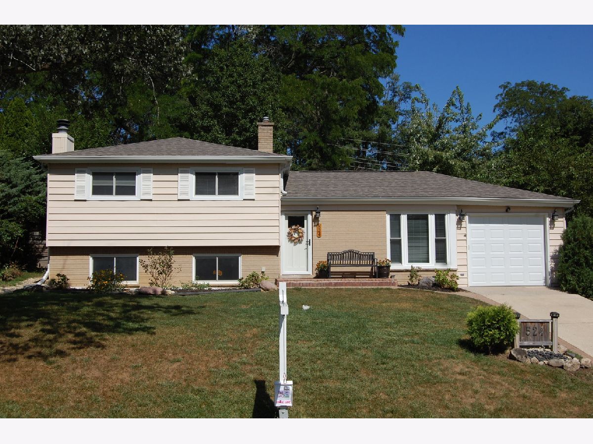 Homes For Sale Valley View Glen Ellyn Illinois, 22W524 Birchwood Drive