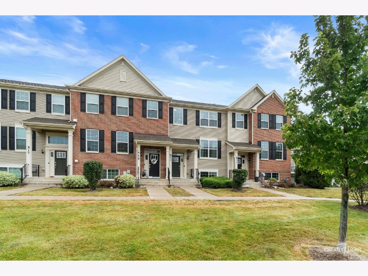 Townhomes & Homes For Sale Southbury Oswego Illinois, 513 Creek Drive