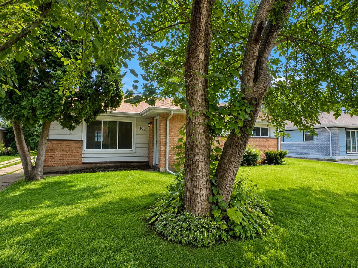  For Rent Park Forest Illinois, 103 Shabbona