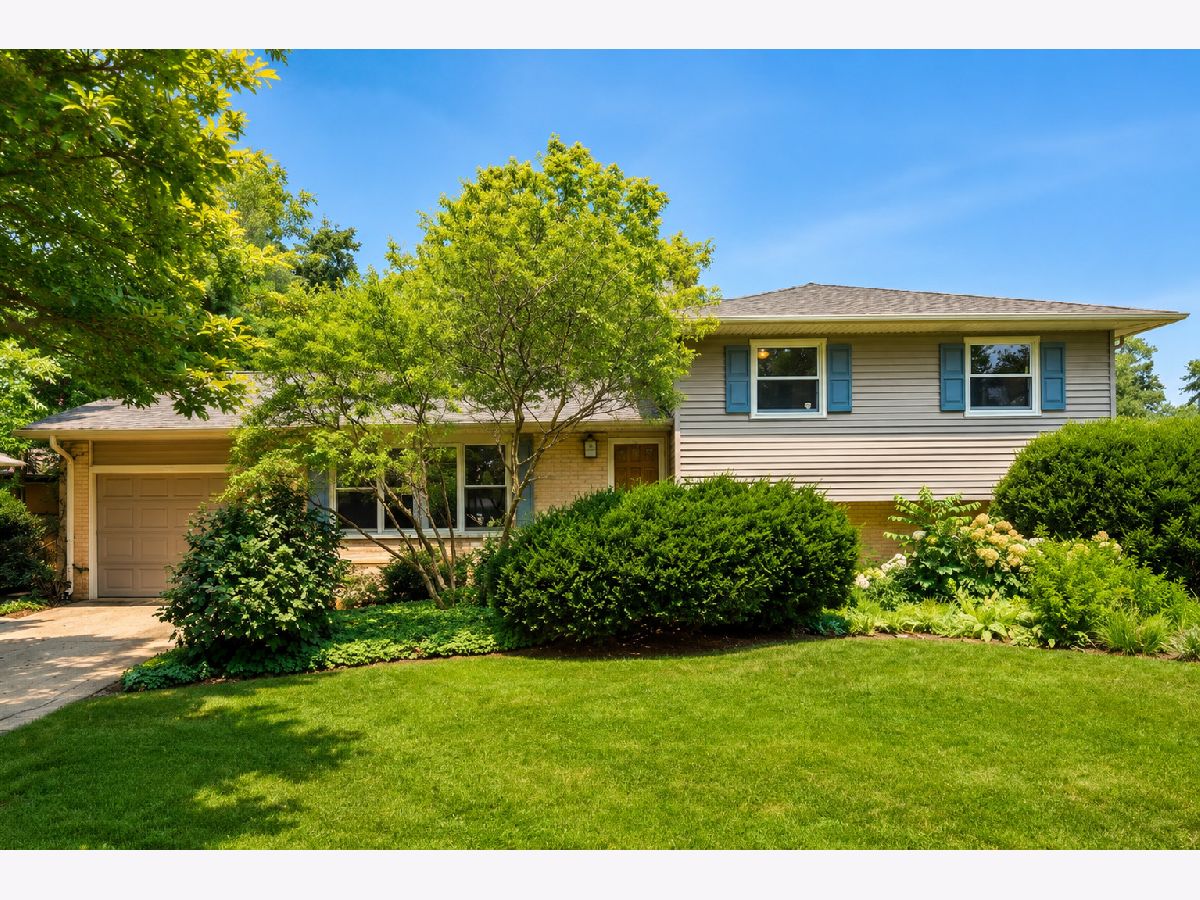 Homes For Sale Willow Wood Palatine Illinois, 742 Baldwin Road