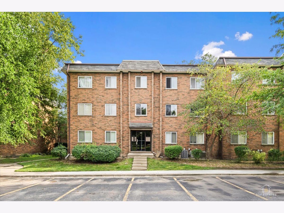 Condominiums For Rent Hidden Ponds Schaumburg Illinois, 909 Buccaneer