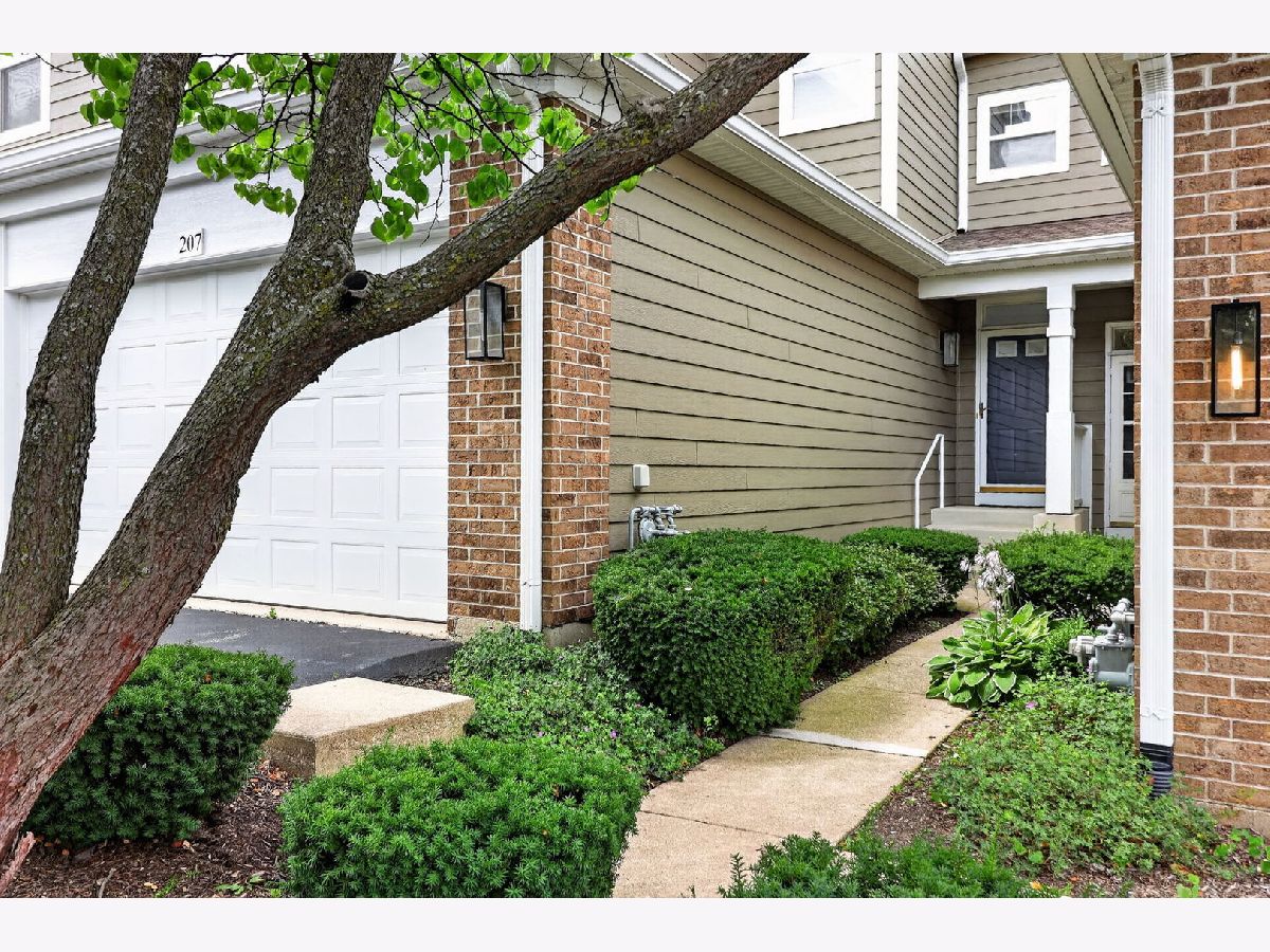  Rented Glen Ellyn Illinois, 207 Tanglewood