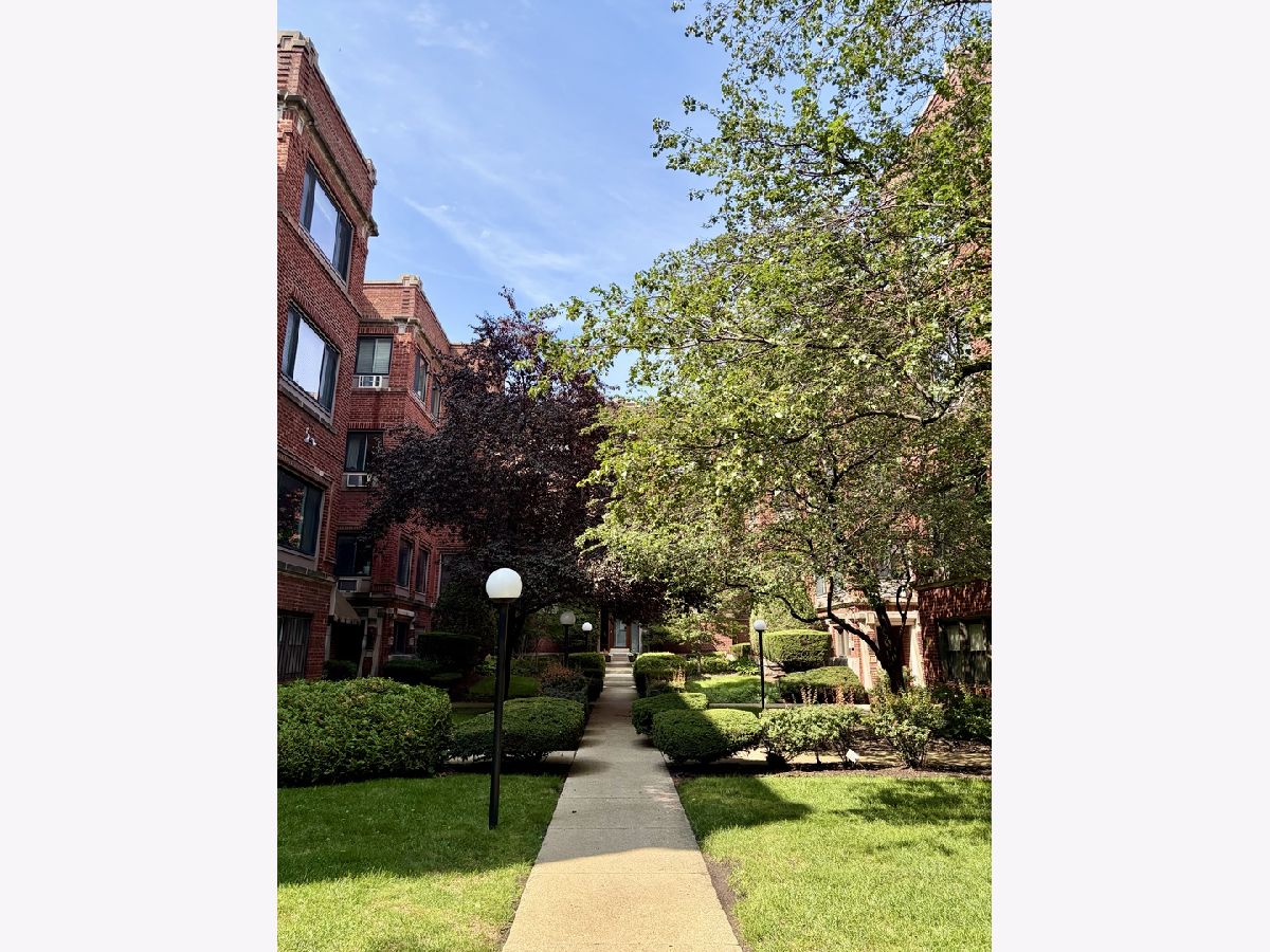  Rented Chicago Illinois, 906 Sunnyside