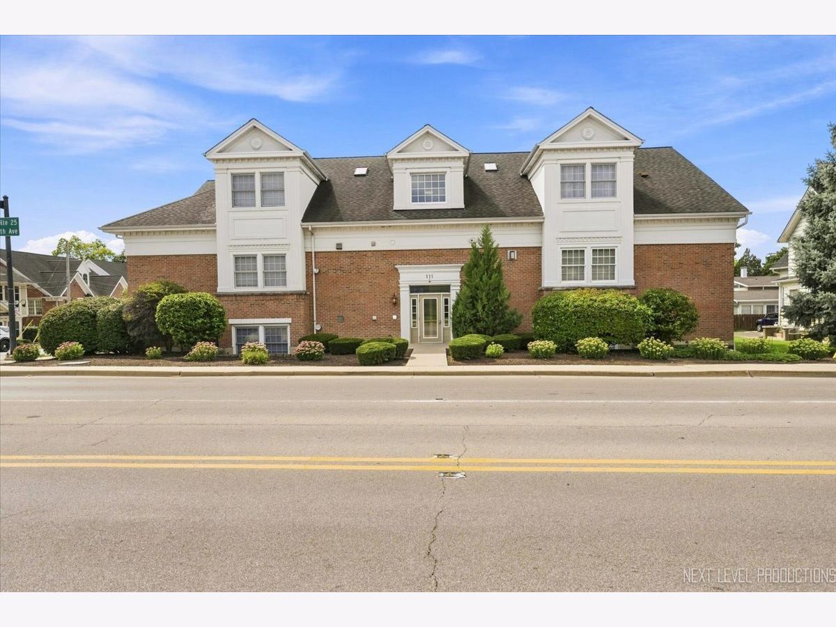  For Sale St Charles Illinois, 111 5th Avenue