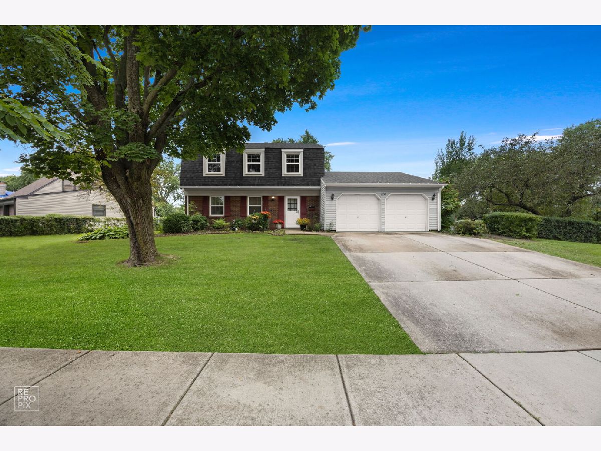 Homes For Rent Sheffield Park Schaumburg Illinois, 120 Tamworth