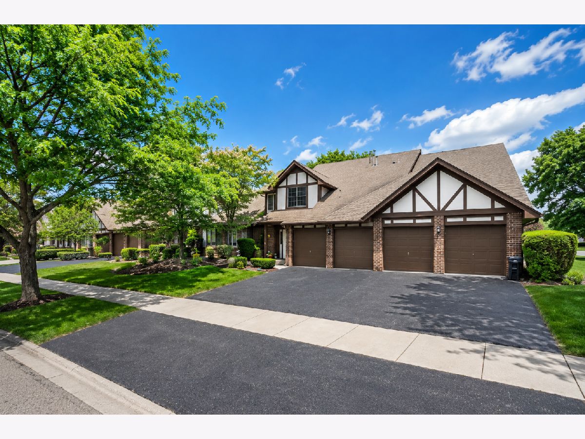 Condominiums For Sale Oak Village Tinley Park Illinois, 18075 Royal Oak Court