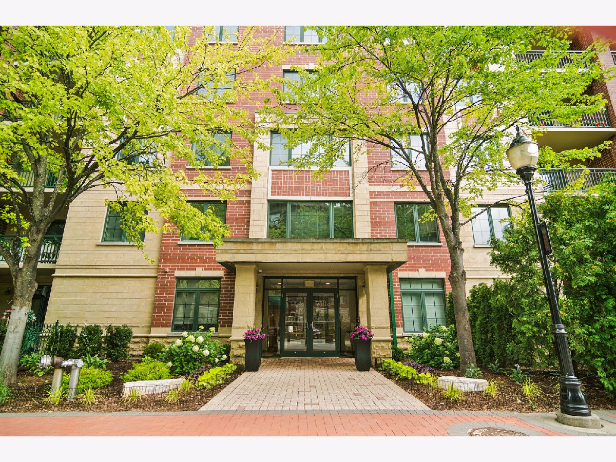 For Rent Mount Prospect Illinois, 11 Wille