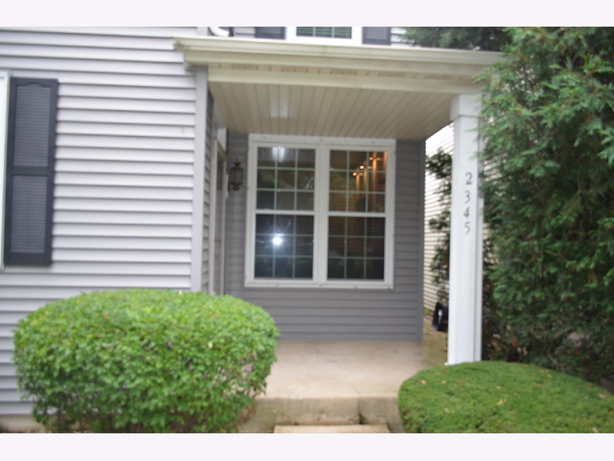 Homes & Townhomes For Sale Riverside Townes Plainfield Illinois, 2345 Woodhill Court