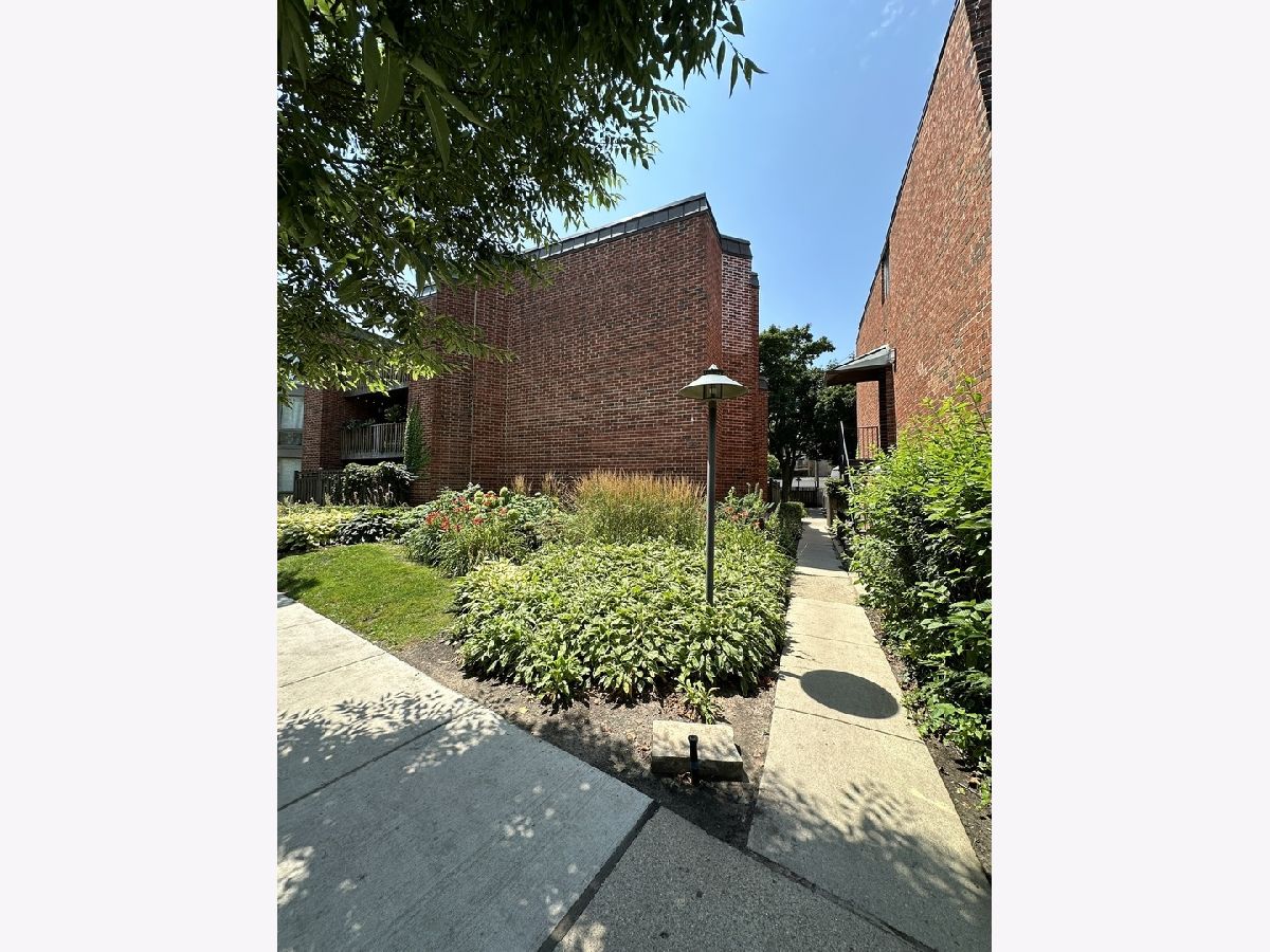 Condos & Townhomes For Rent Oz Park Gardens Chicago Illinois, 2036 Larrabee