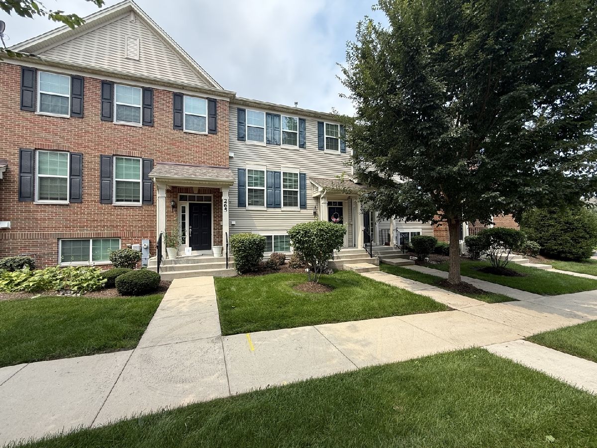  For Rent Oswego Illinois, 263 Lakeshore