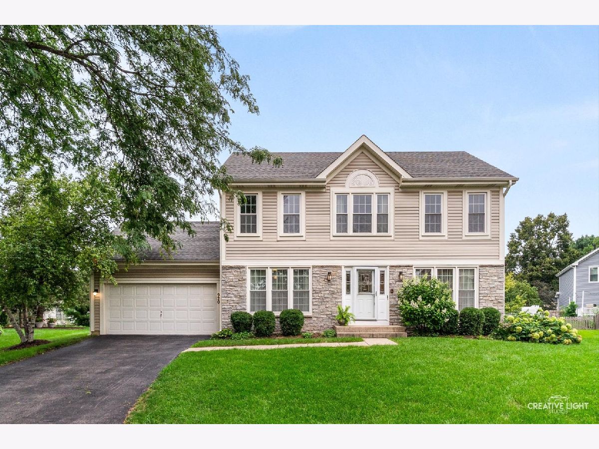  For Rent Elgin Illinois, 920 Fairfax