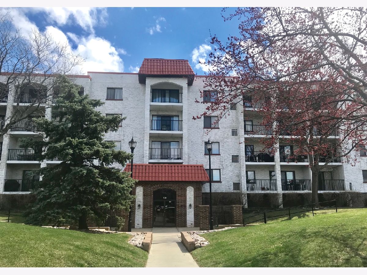 Condominiums For Rent Plum Creek Wheeling Illinois, 375 Plum Creek