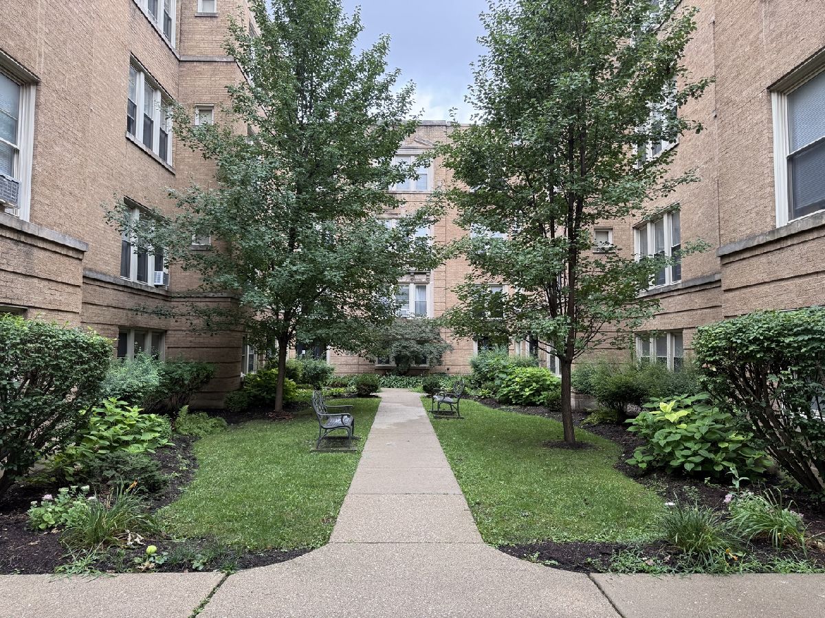  For Rent Oak Park Illinois, 209 Washington