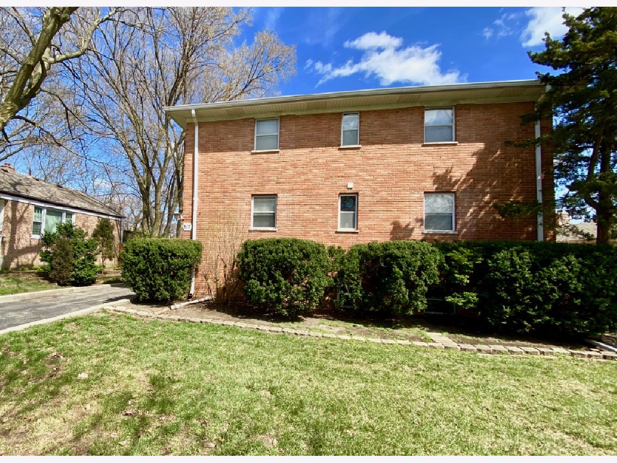 Rented Palatine Illinois, 317 Plum Grove