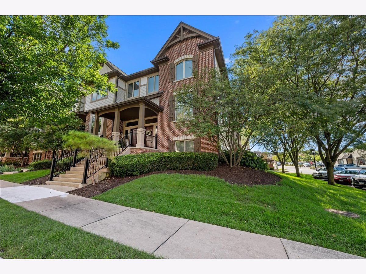 Townhomes For Sale Brownstone At Riversedge St Charles Illinois, 301 Brownstone Drive