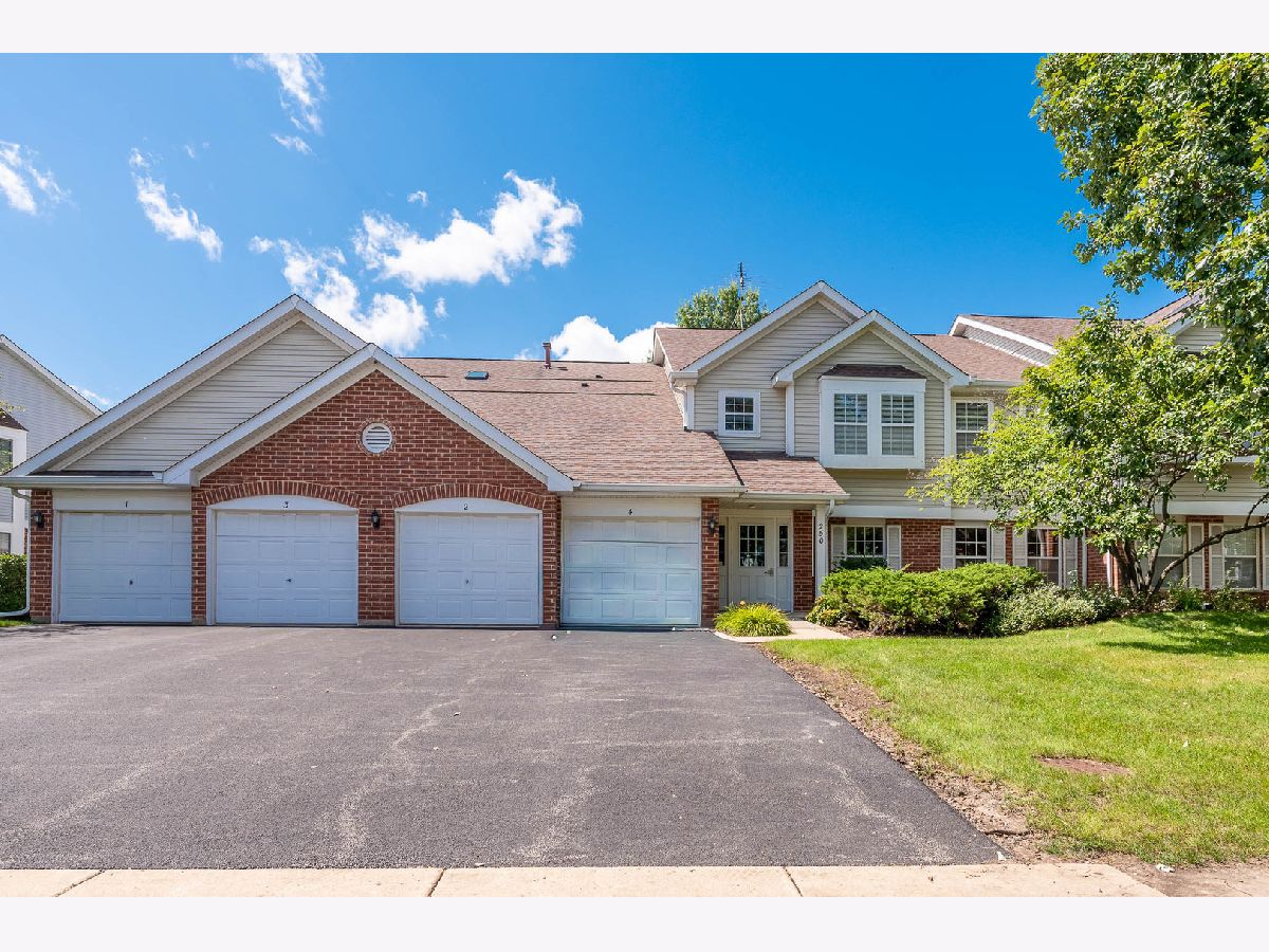 Townhomes & Condos For Sale Turnberry Manor Roselle Illinois, 250 Ashbury Lane