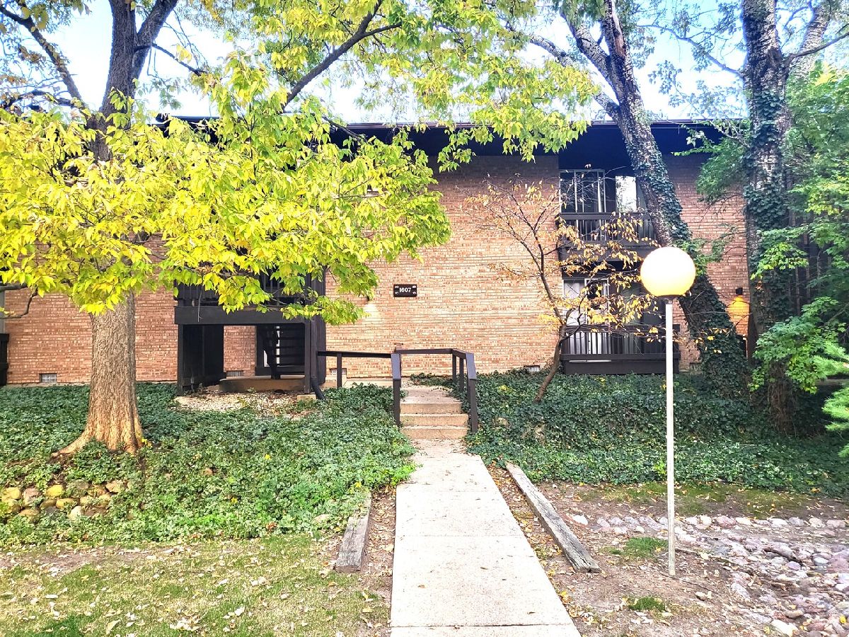 Condos & Townhomes For Sale Four Lakes Lisle Illinois, 1607 Maple Terrace