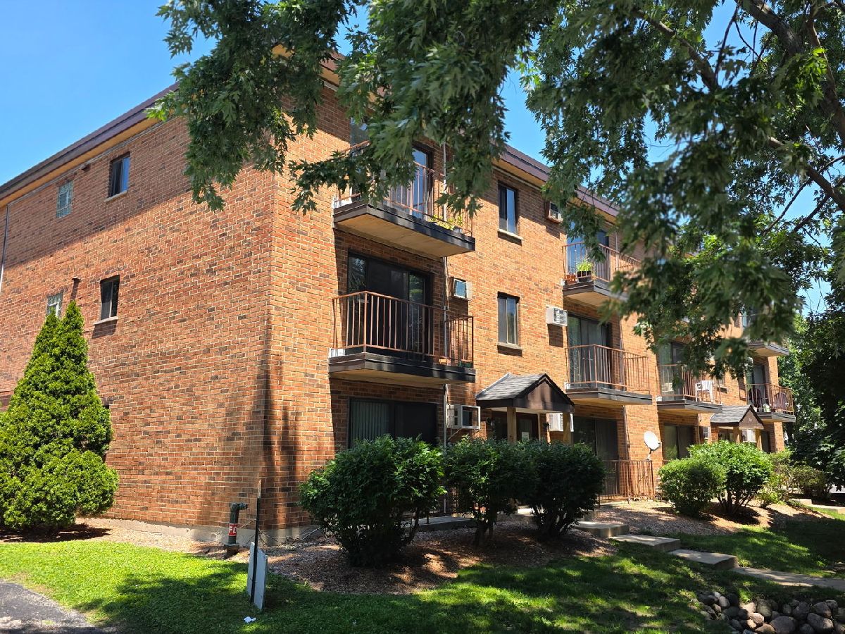  For Rent Downers Grove Illinois, 724 Warren