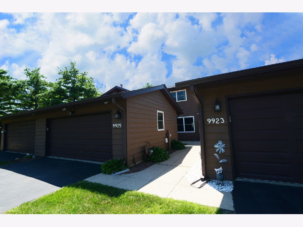 Townhomes For Sale Summer Place Algonquin Illinois, 9925 Amanda Lane