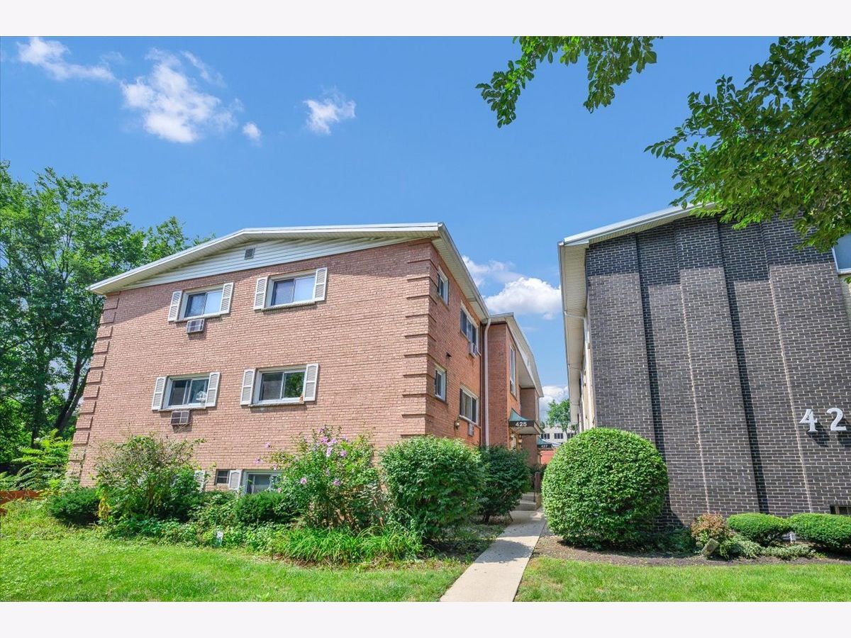  For Sale Oak Park Illinois, 425 Elmwood Avenue