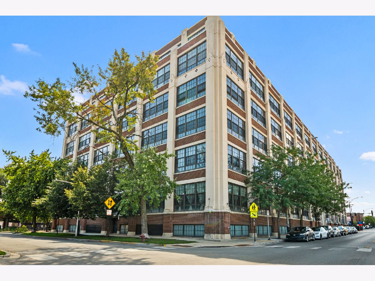  Rented Chicago Illinois, 3963 Belmont