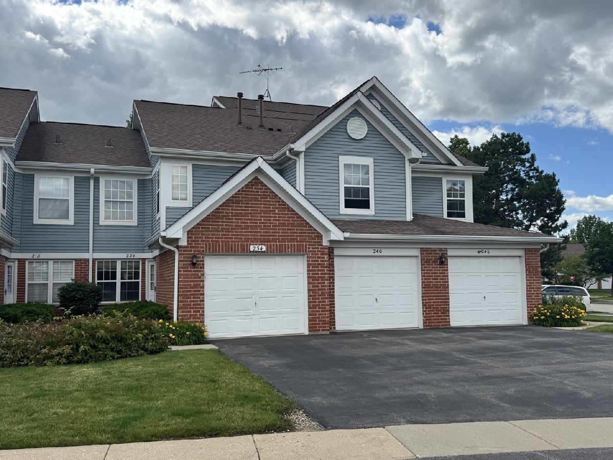 Townhomes & Condos For Rent Turnberry Manor Roselle Illinois, 234 Birmingham