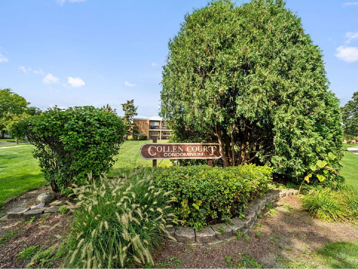 Condominiums & Homes Sold Collen Court Lombard Illinois, 212 Collen